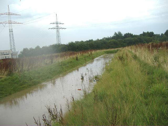 2008_0726_173903.JPG - Große Mulde südl. des Bauträgerbereiches - Blickrichtung: Nord/Ost - In diesem Muldenabschnitt haben wir eine Beobachtung gemacht, die wir in den anderen Abschnitten nicht feststellen konnten. Es stiegen Bläschen an die Wasseroberfläche, an verschiedenen Stellen, mal mehr mal weniger stark. Hierbei kann es sich möglicherweise um Methanausgasungen handeln. Diese unkontrollierten Ausgasungen sind luftdruckabhängig und beim Wechsel von Hochdruck- zur Tiefdruckwetterlage steigt auch der Methangasaustritt.