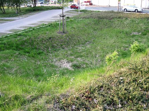 20110421_002.jpg - Regenversickerungsmulde des Hellweg-Baumarktes südl. der Borussiastraße, angrenzend an den Parkplatz des Bürogebäudes