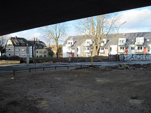 20091122_8.jpg - Auch die Bäume auf dem Parkplatz wurden gerodet.